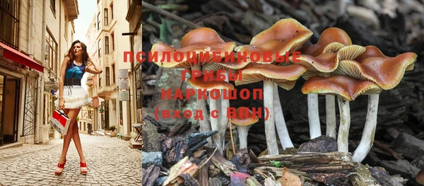 наркотики Кукмор
