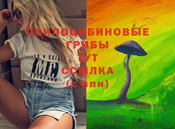 прущая мука Лабытнанги