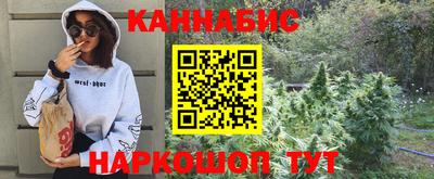 МДПВ Можга