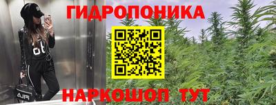 МДПВ Можга