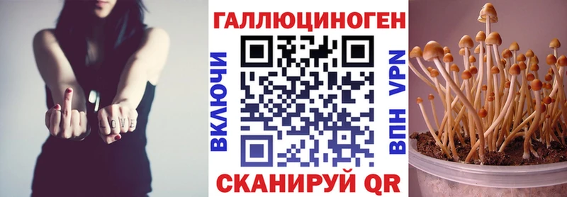 продажа наркотиков  kraken зеркало  Псилоцибиновые грибы Psilocybine cubensis  Тутаев 