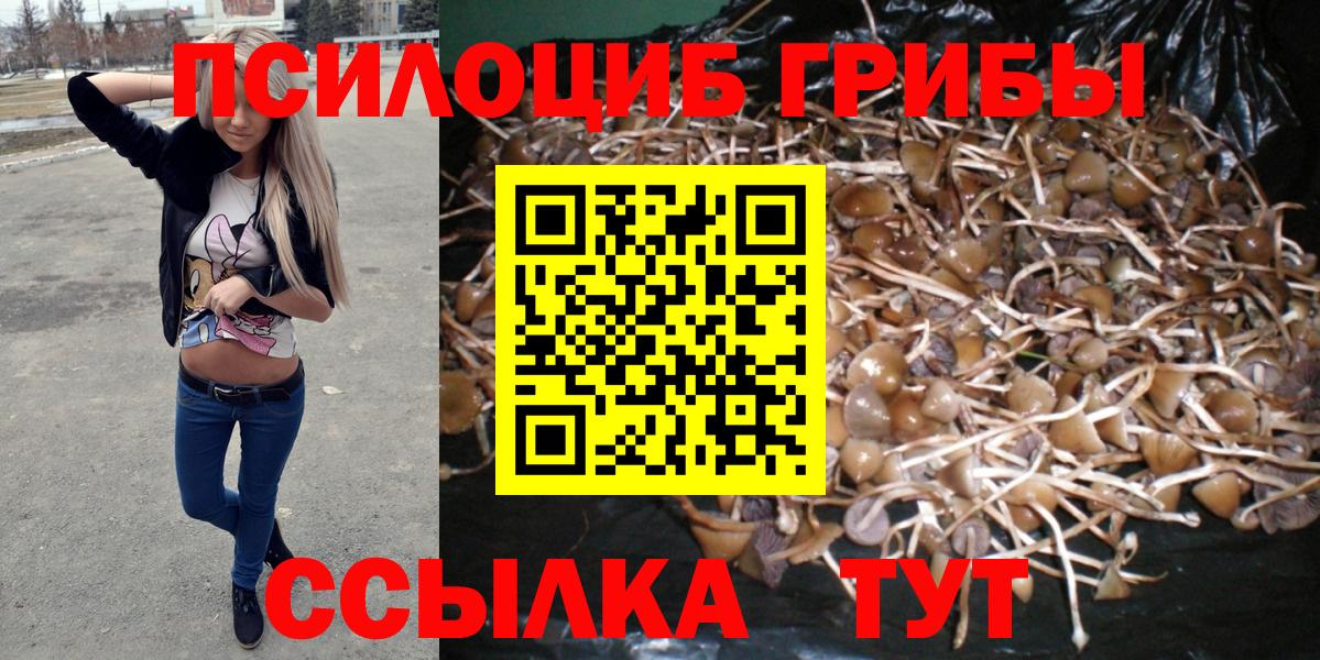 Псилоцибиновые грибы Magic Shrooms  купить наркотики цена  Тутаев 