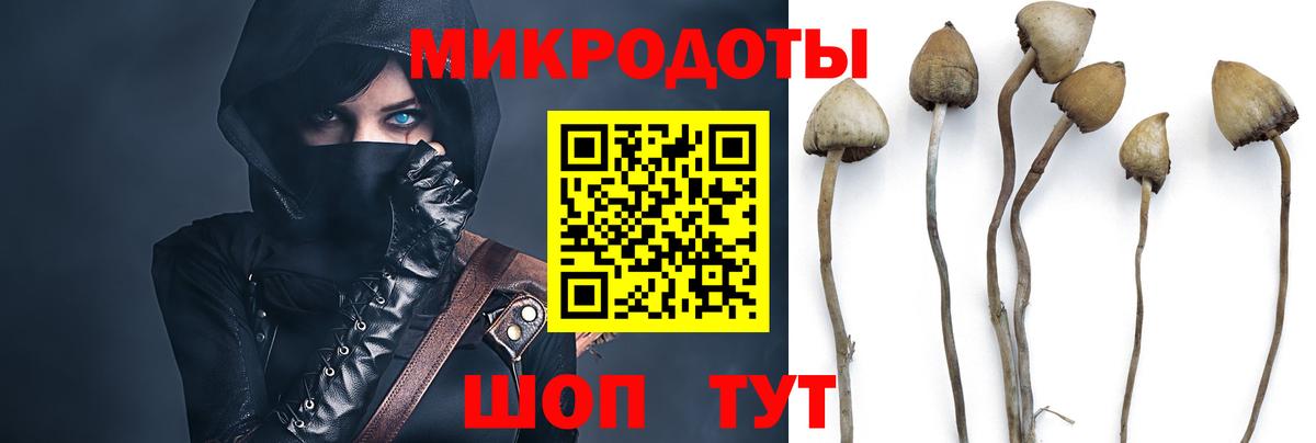Галлюциногенные грибы мухоморы  Вход с VPN  Тутаев 